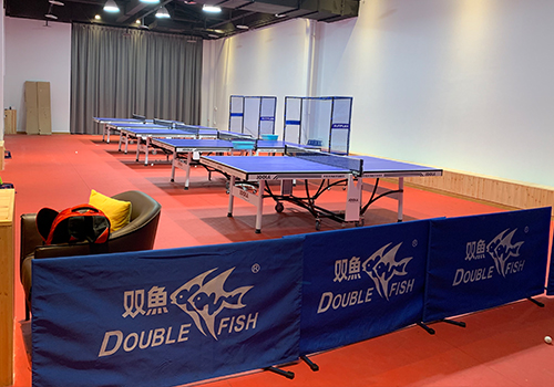 乒乓球提高发球质量有着怎样的要素 乒乓球提高发球质量有着怎样的要素