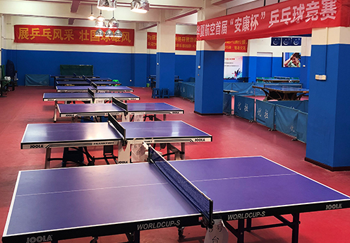 哪里有专业的乒乓球培训馆.png 哪里有专业的乒乓球培训馆.png