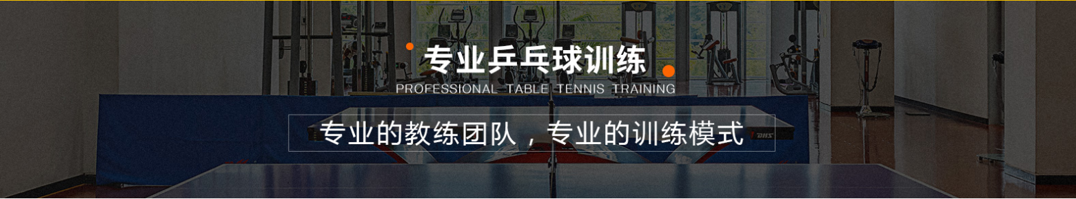 青少年乒乓球培训 青少年乒乓球培训