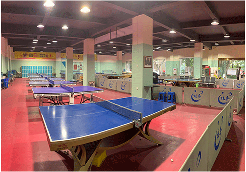 乒乓球培训 乒乓球培训