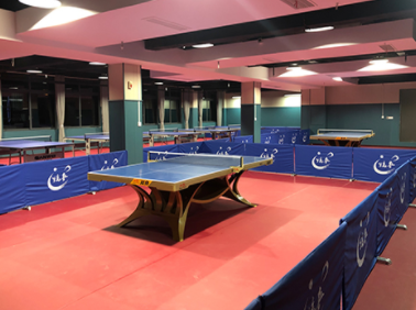 少儿乒乓球培训班 少儿乒乓球培训班