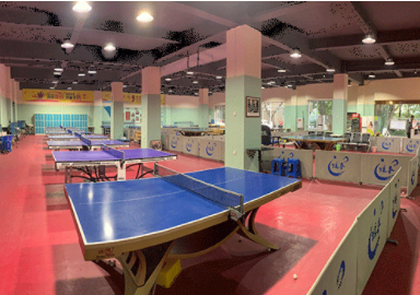 青少年乒乓球培训班 青少年乒乓球培训班