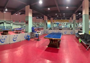 少儿乒乓球培训班 少儿乒乓球培训班